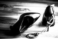 Toys of pleasure