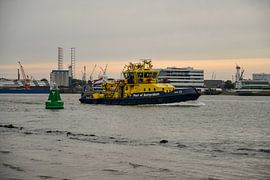The port service RPA 11 in the port of Rotterdam by scheepskijkerhavenfotografie