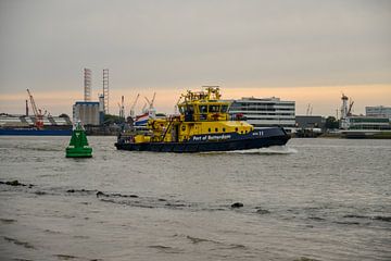 De havendienst RPA 11 in de haven Rotterdam van scheepskijkerhavenfotografie
