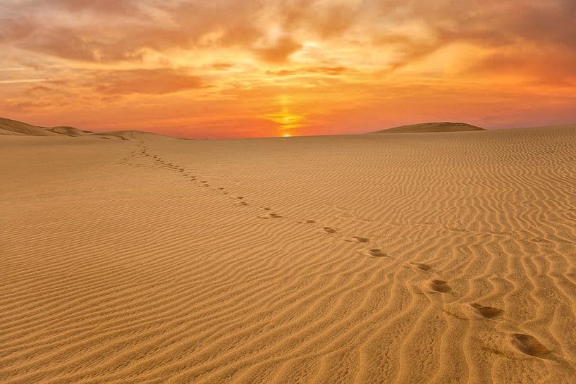 Sunrise over the desert by Tilo Grellmann