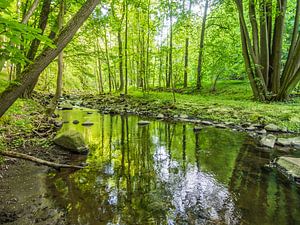 Printemps au bord d'un ruisseau dans une forêt de feuillus verdoyante VI sur Jörg B. Schubert