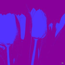 KLEUR by Ruud V D Kuil