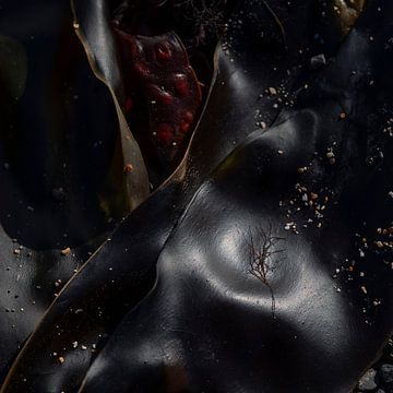 Au bord de la mer sur Wouter Vroom