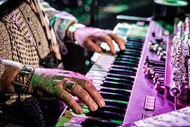 Thijs van Leer - Focus van Johan Breij