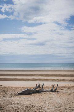 Bakers Beach: undiscovered coastal gem in Narawntapu by Ken Tempelers