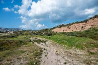 Cyprus' inhospitable landscape by Werner Lerooy thumbnail