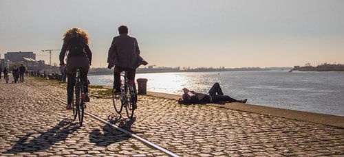 Zonnige middag aan de Schelde