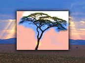 Serengeti by Dirk H. Wendt thumbnail