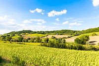 Toscane