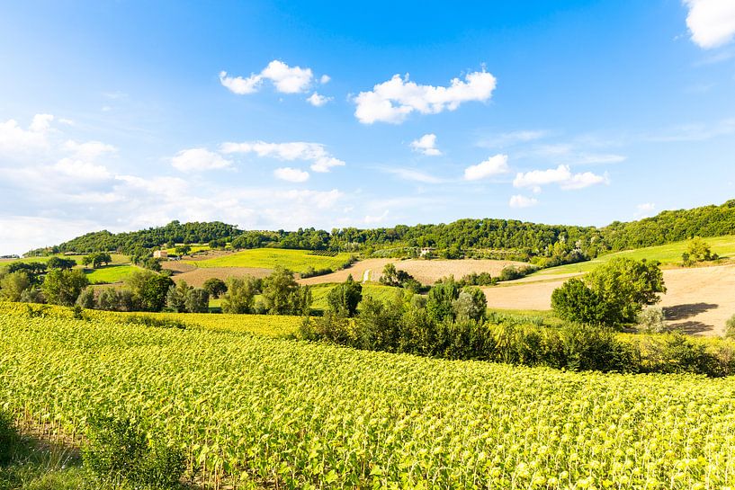 Toscane by Fotostudio Foto-DP