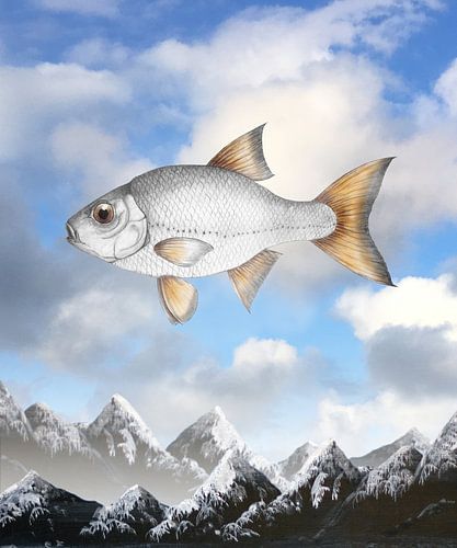 Vliegende blankvoorn