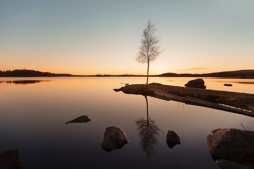 Midsummer Sweden par Claire Droppert