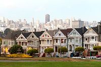 the Painted Ladies