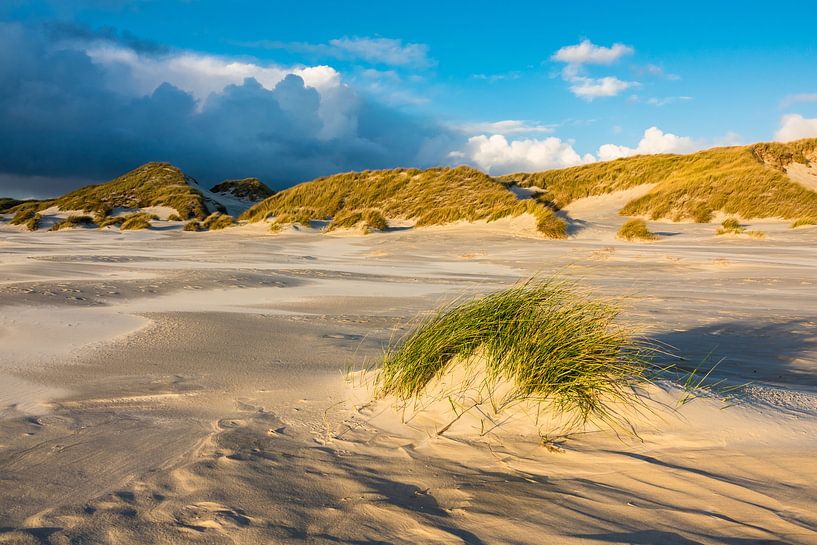 Landschaft mit Dünen auf der Insel Amrum von Rico Ködder