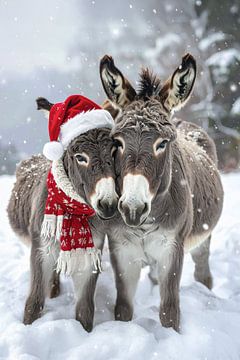 Donkeys in the snow... by Ans Bastiaanssen