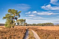 Folgen Sie dem richtigen Weg