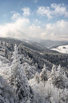 Forêt d'hiver sur Michael Valjak