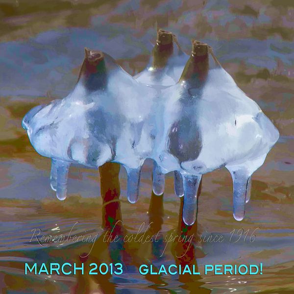 Glacial period par Michiel Leegerstee