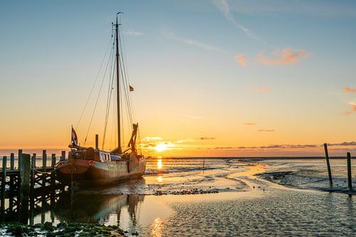 Texel, 
