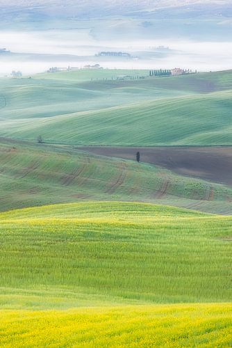 Een landschapsfoto van de mistige groene heuvels van Toscane