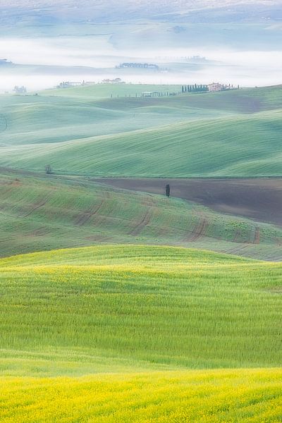 Een landschapsfoto van de mistige groene heuvels van Toscane van Bas Meelker