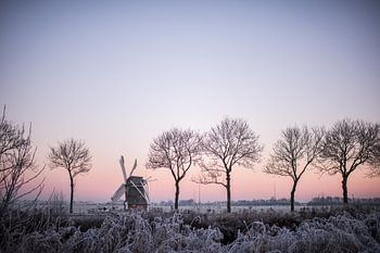 Blick auf das Hochland