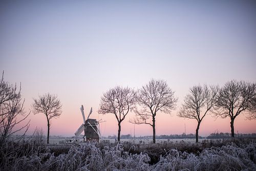 Blick auf das Hochland