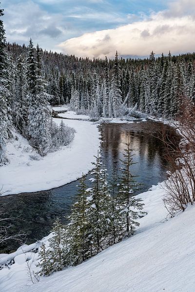 Jasper National Park par Luc Buthker