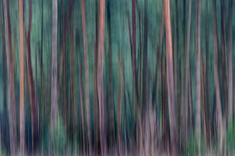 Impressie van Pascal de Groot