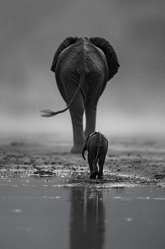 You'll Never Walk Alone