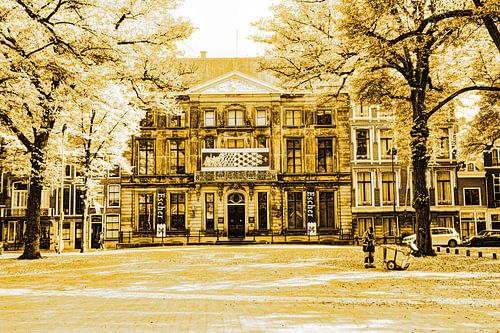 Paleis Lange Voorhout Escher in het Paleis Den Haag Nederland Goud