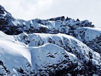 The magic of snow... (7)