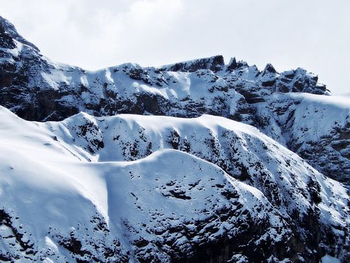 The magic of snow... (7)