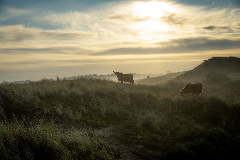 Magical morning by Dirk van Egmond