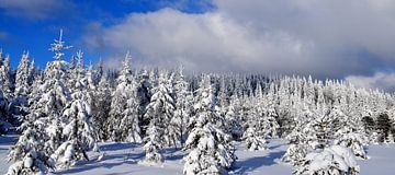 The top of the snow-capped mountain by Claude Laprise