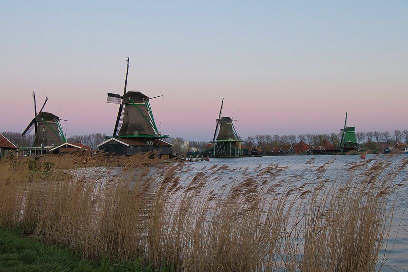 Moulins néerlandais par Leo van Beugen