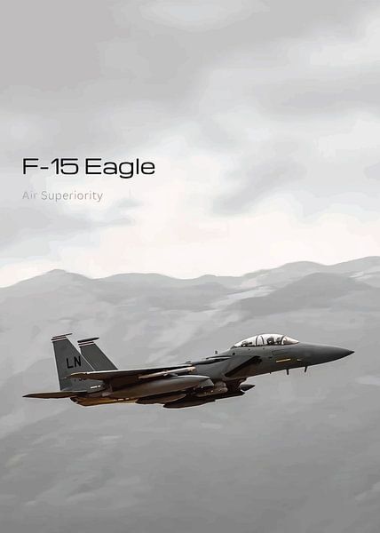 Soaring Eagle by Silvina Khan