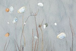 Shell art - Natural Ameland