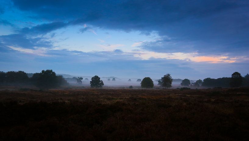 'Misty Mornings' par Jurjen Rozeboom