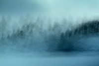 wintersaga