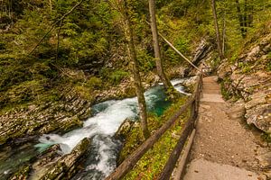 Gorges du Vintgar en Slovénie sur Bert Beckers