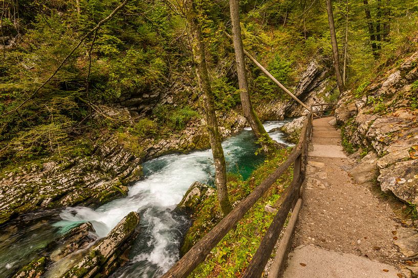 Vintgar Kloof in Slovenië van Bert Beckers