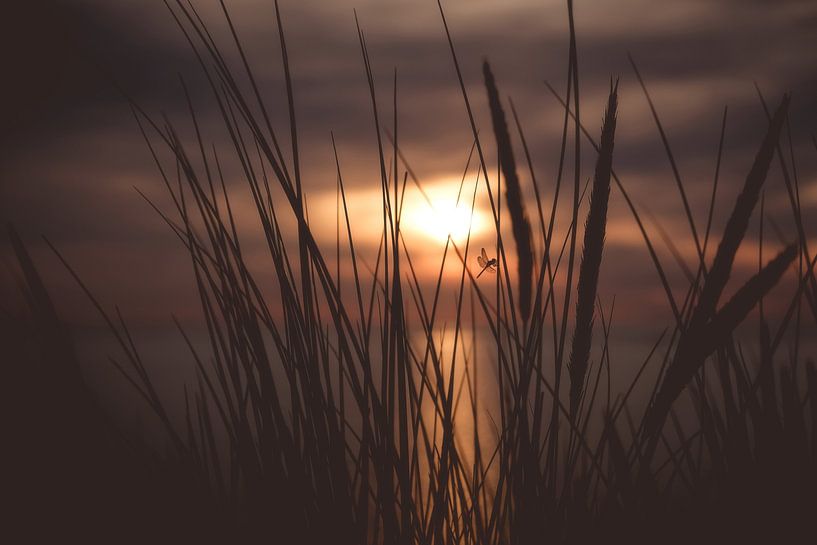 Ouddorp Beach, The Netherlands van Colin Bax