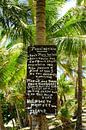 Enkele regels over Lifou van Frank's Awesome Travels thumbnail