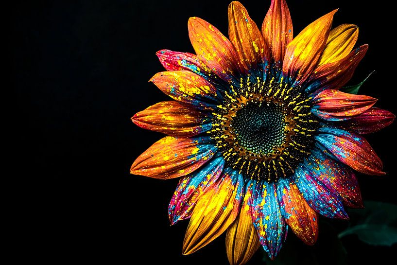 Tournesol coloré dans un style artistique par Imperial Art House