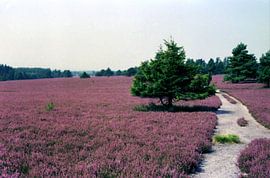 Weites Land von Joachim Serger