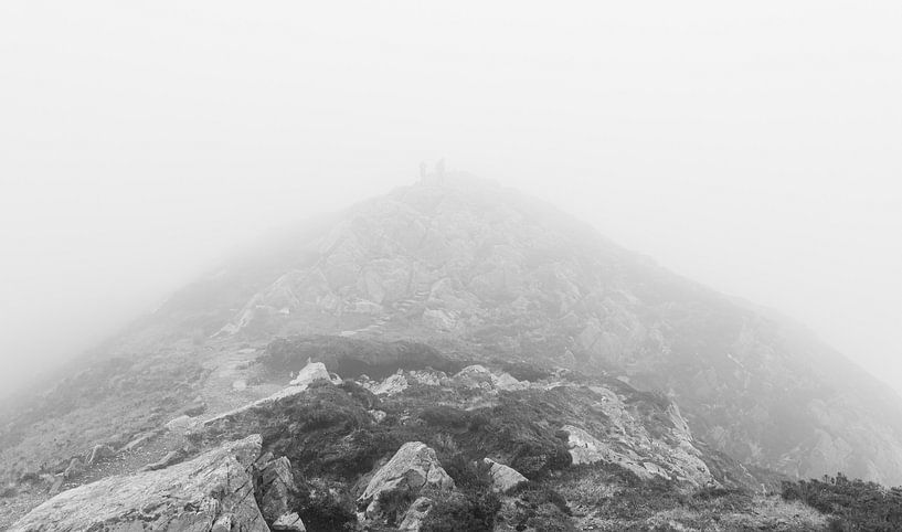 Dymond Hill Ierland van Roy Vereijken