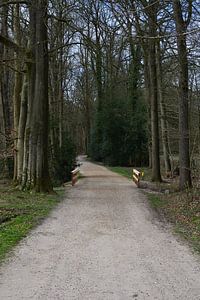 Ein Schotterweg mit einer Brücke