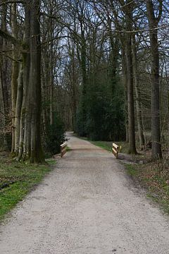 A gravel path with a bridge