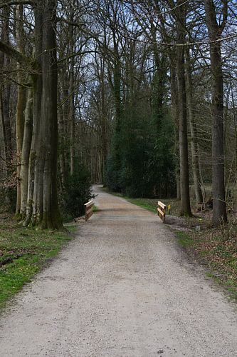 Un chemin de gravier avec un pont